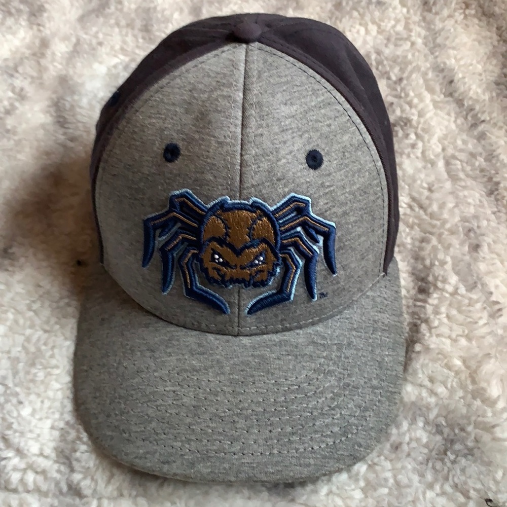 Fond du Lac Dock Spiders SnapBack